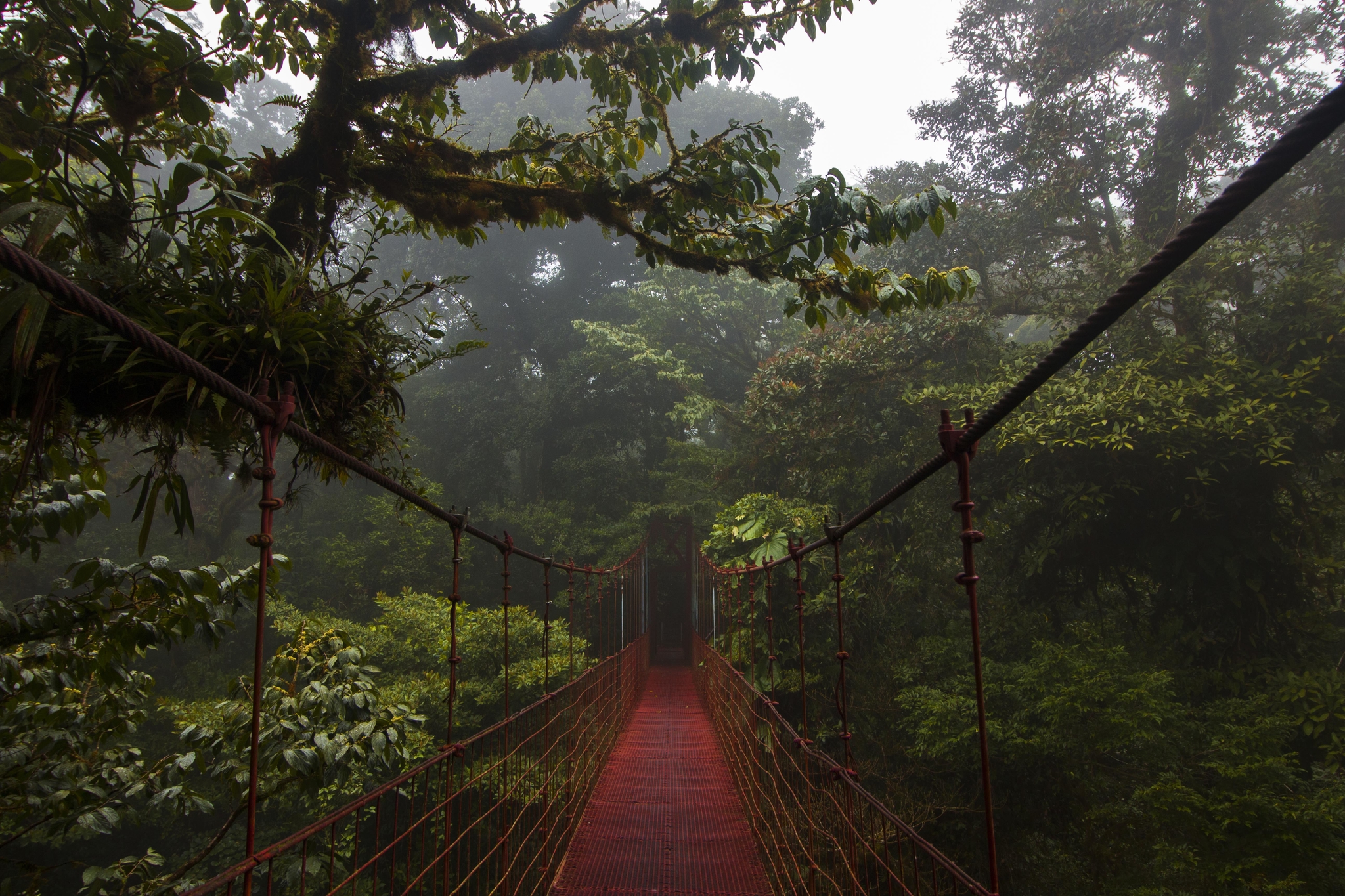 Pont suspendu de la forêt de nuage de Monteverde