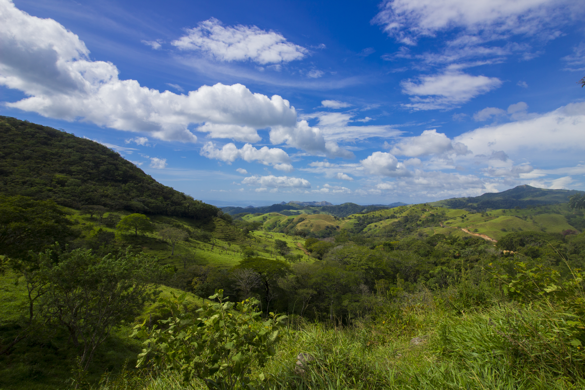 Paysage de la région de Monteverde