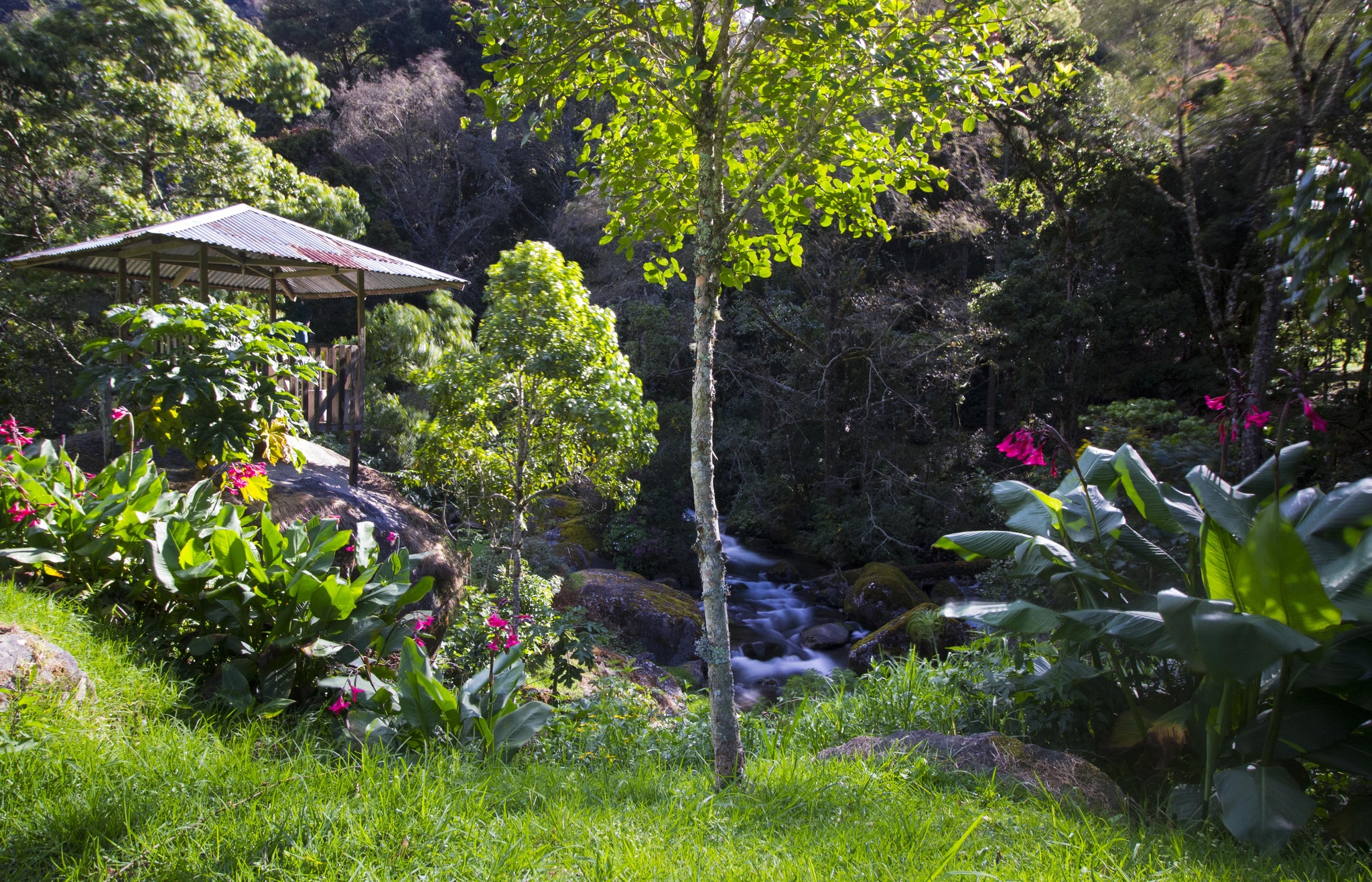 Le jardin de l'hôtel Cabinas el Quetzal à San Gerardo de Dota