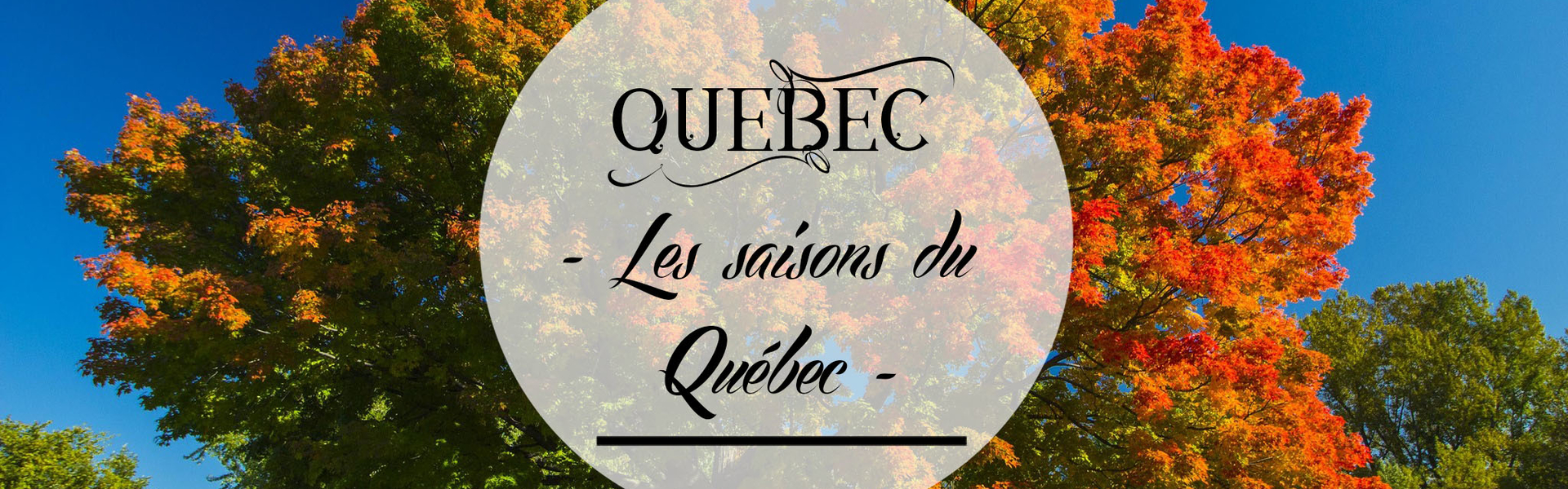 Les saisons du Québec