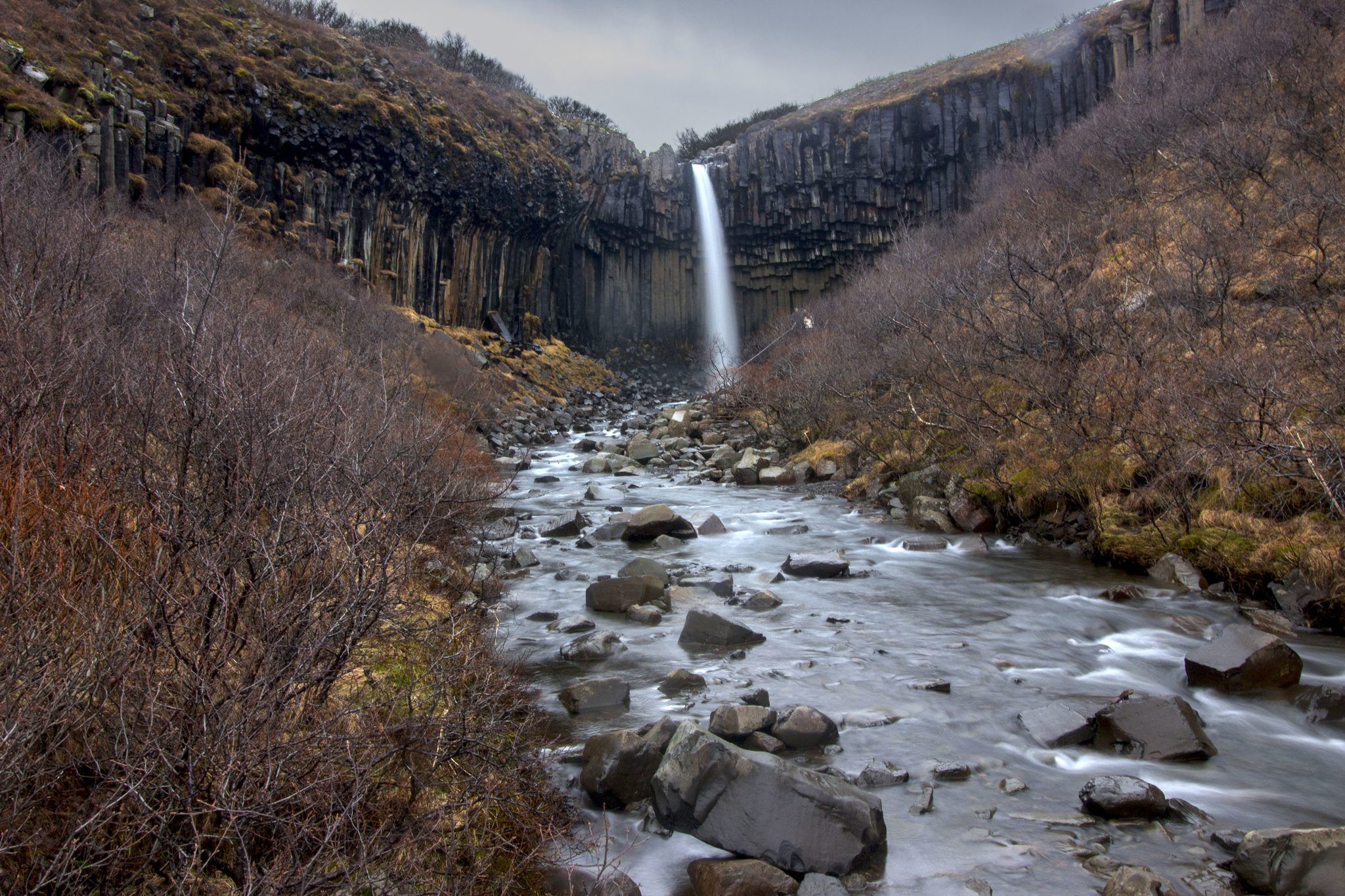 La cascade de Svartifoss entourée de ses colonnes de basalte